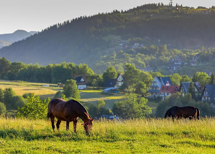 I Pokoje Z Widokiem Na Tatry - U Magdy